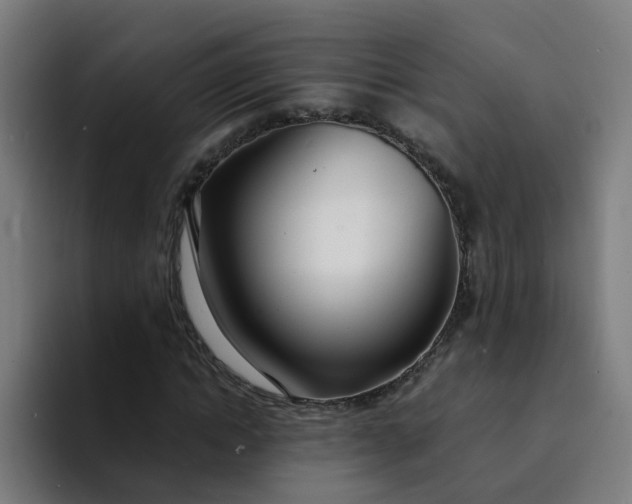 X0000094360822200711162048