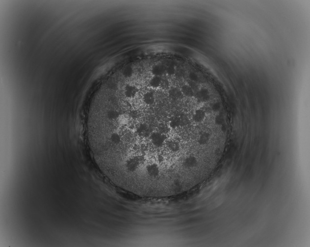 X0000094360823200711162048