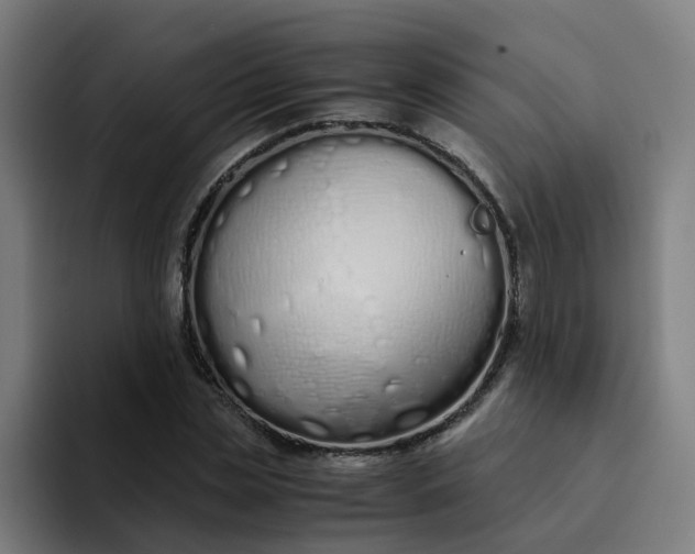 X0000094360829200711162048