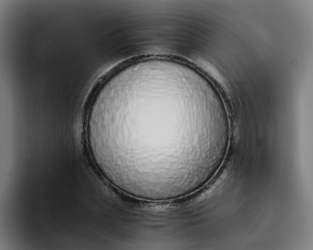 X0000094360831200711162048