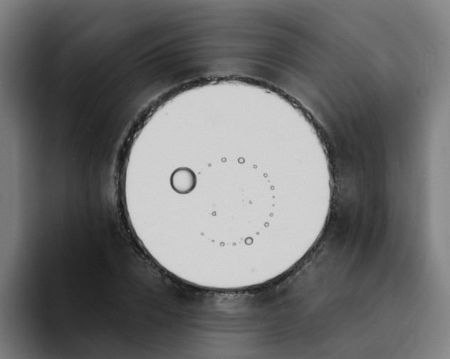 X0000094360832200711162048