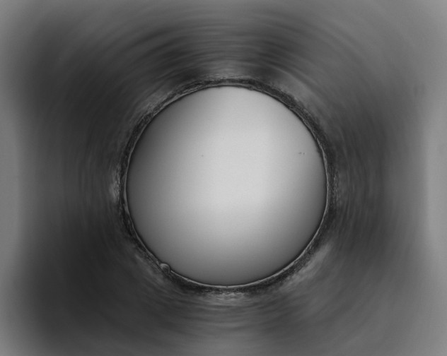 X0000094360833200711162048