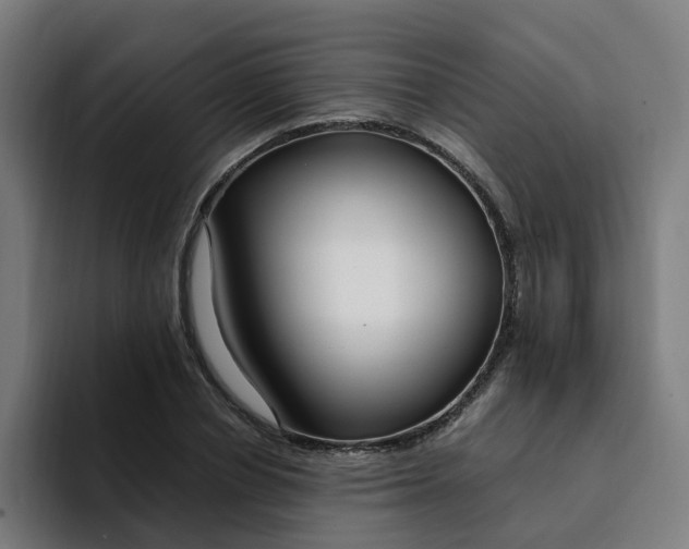 X0000094360834200711162048