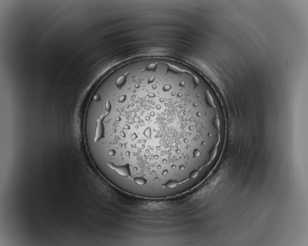 X0000094360835200711162049