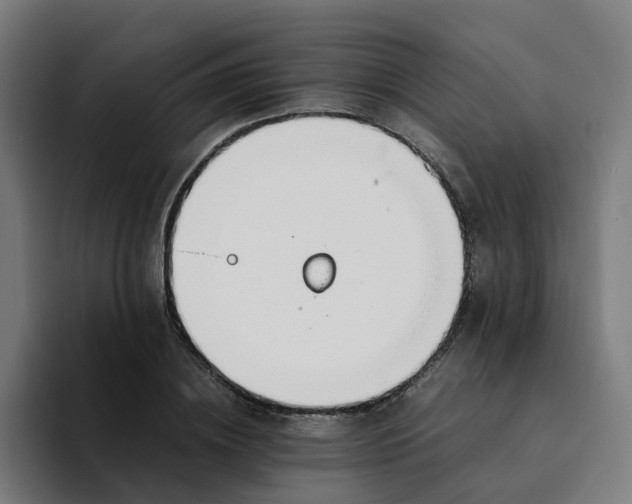 X0000094360836200711162049