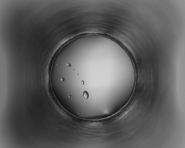 X0000094360837200711162049