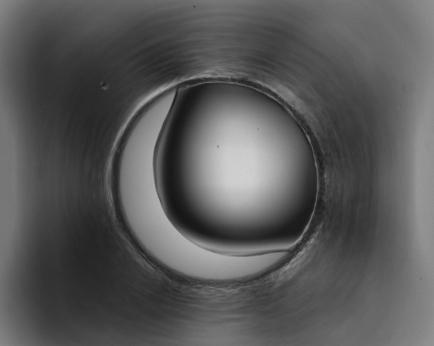 X0000094360838200711162049