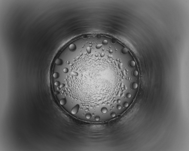 X0000094360839200711162049