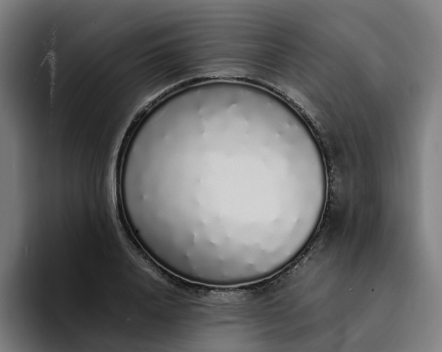 X0000094360840200711162049