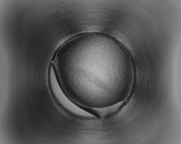 X0000094360842200711162049