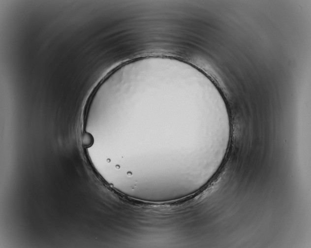 X0000094360844200711162049