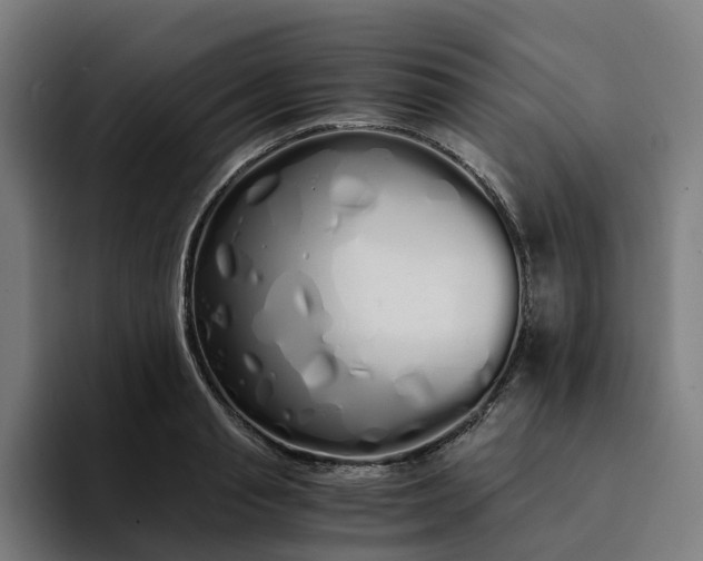 X0000094360845200711162049