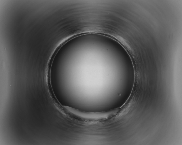 X0000094360846200711162049