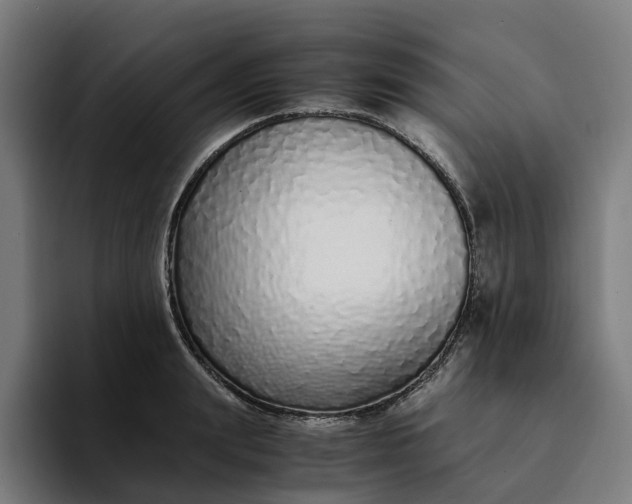 X0000094360847200711162049