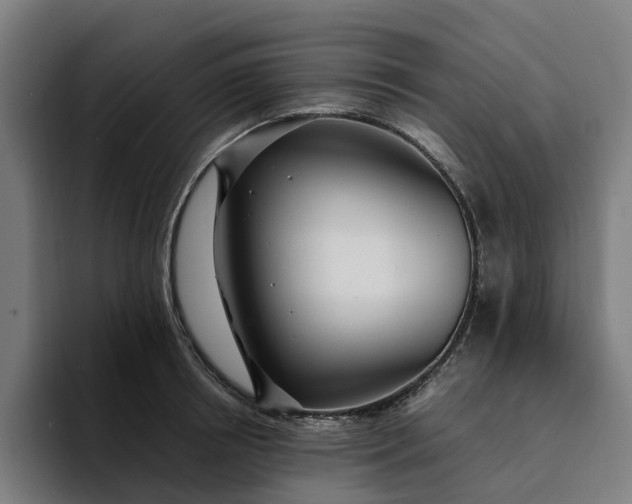 X0000094360850200711162049