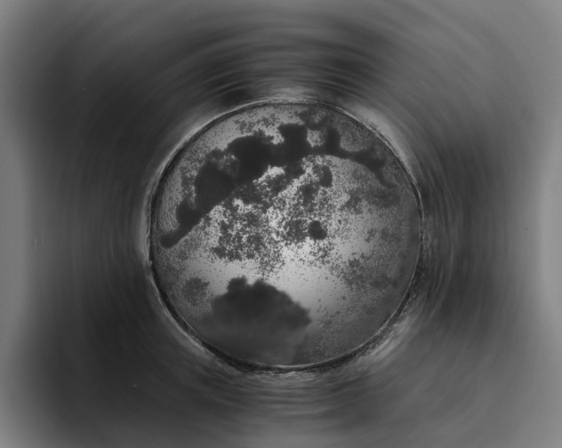 X0000094360851200711162049