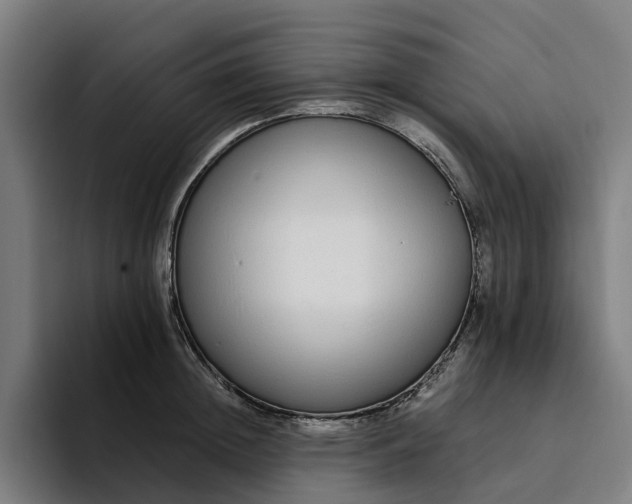 X0000094360852200711162049