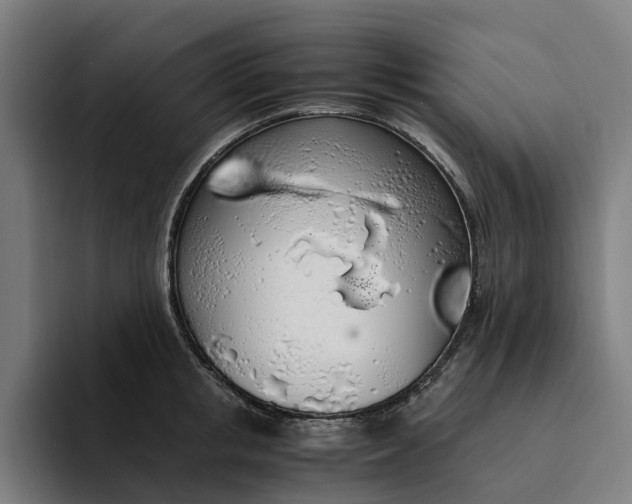 X0000094360853200711162049