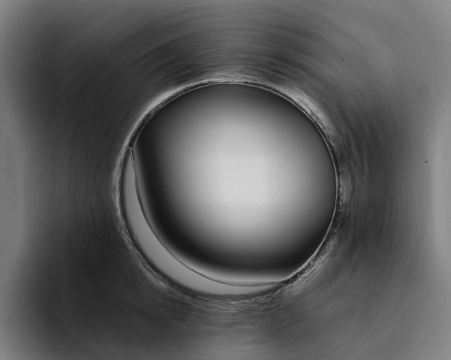 X0000094360854200711162049