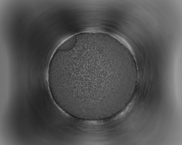 X0000094360855200711162049