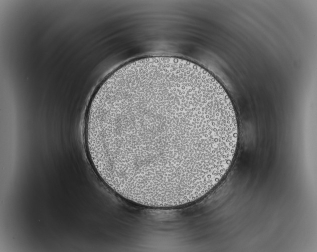 X0000094360856200711162049