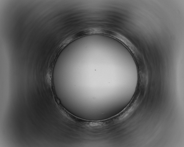 X0000094360857200711162049