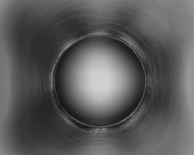 X0000094360858200711162049