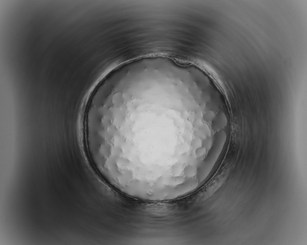 X0000094360859200711162049