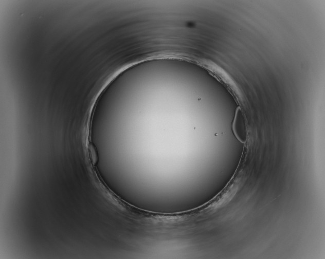 X0000094360860200711162049