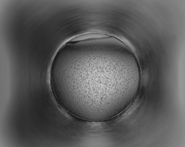 X0000094360862200711162049