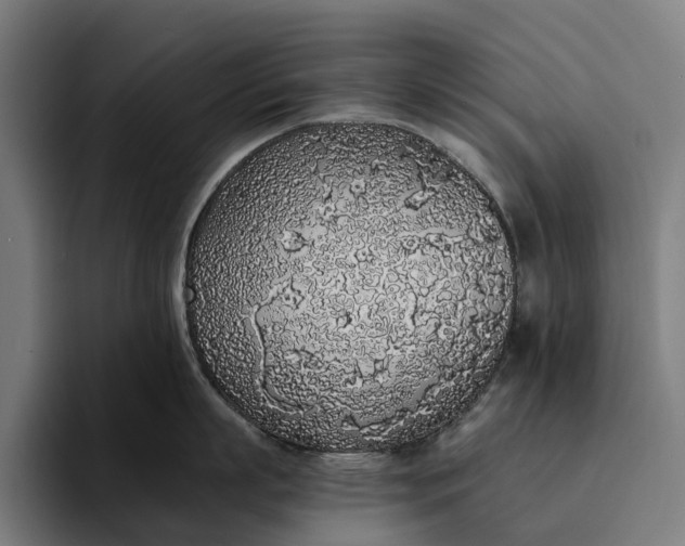 X0000094360863200711162049