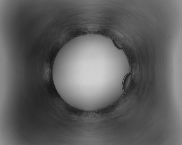 X0000094360866200711162048