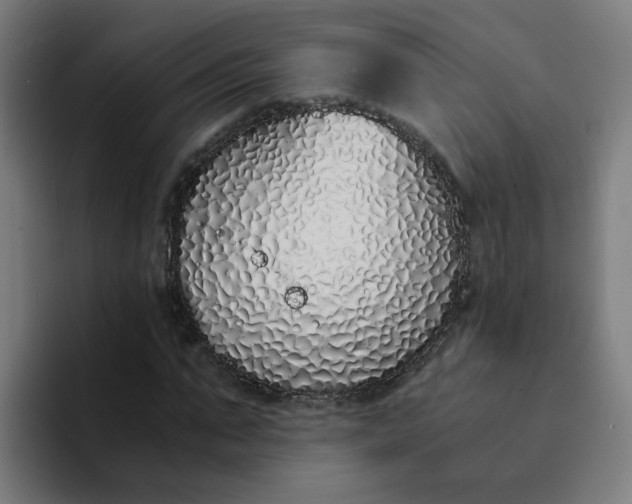 X0000094360871200711162048