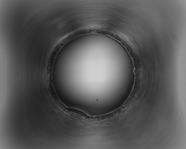 X0000094360872200711162048