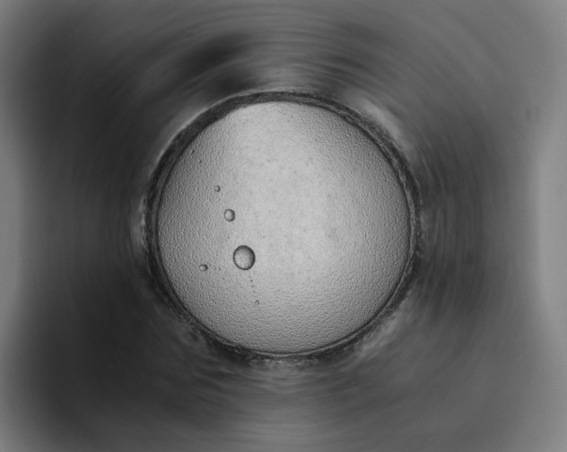 X0000094360875200711162048