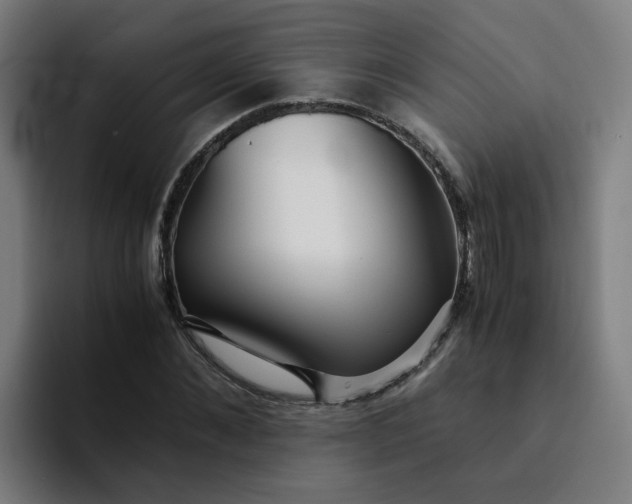 X0000094360876200711162048