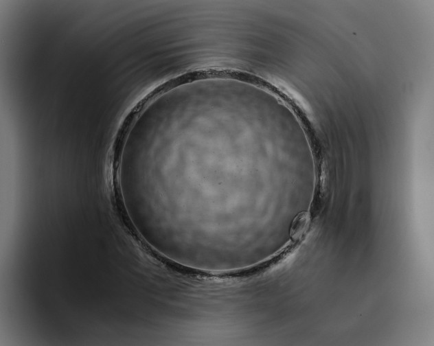 X0000094360877200711162048