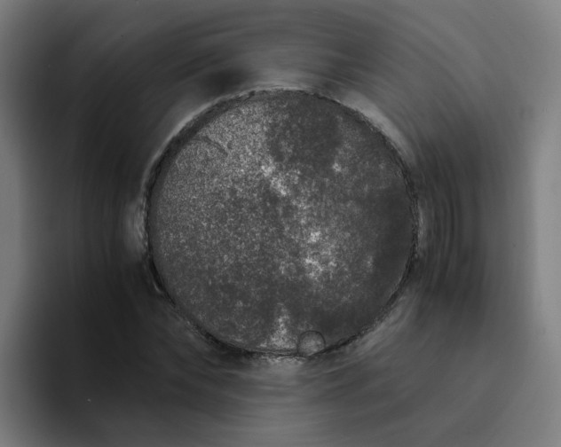 X0000094360878200711162048