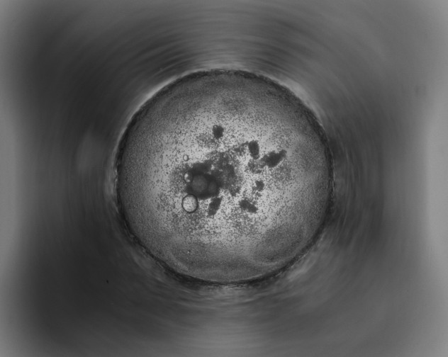 X0000094360879200711162048