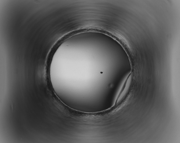 X0000094360880200711162048