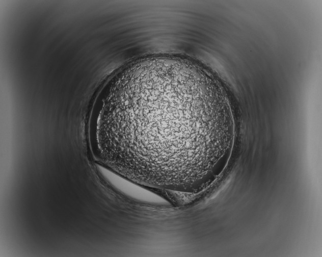 X0000094360881200711162048