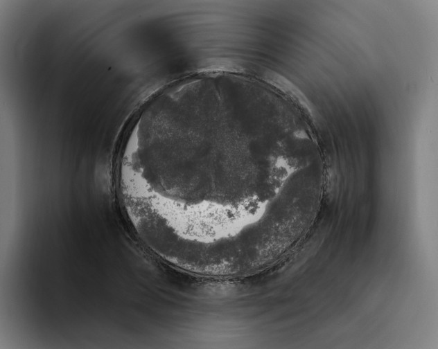 X0000094360882200711162048