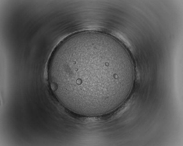 X0000094360883200711162048