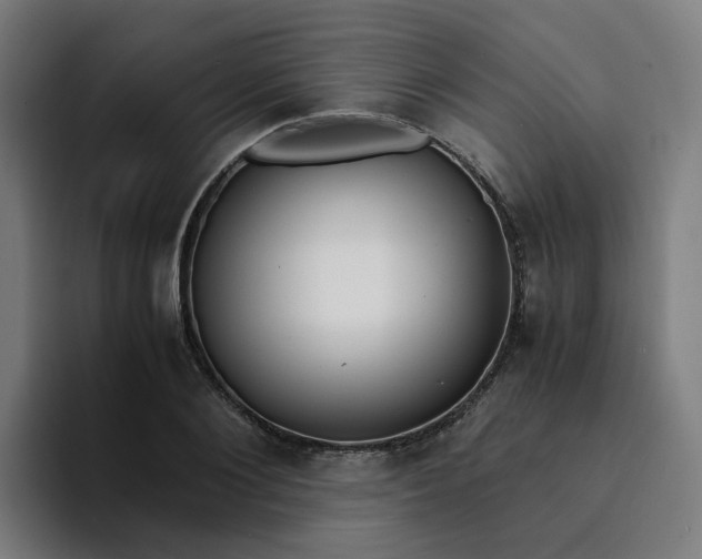 X0000094360884200711162048