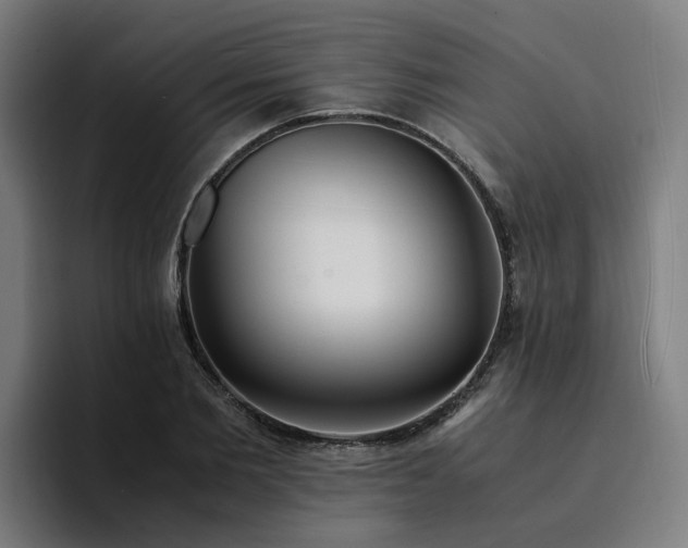 X0000094360885200711162048