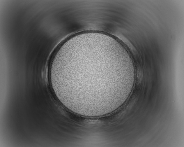 X0000094360886200711162048