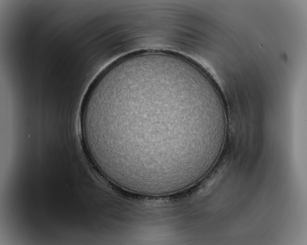 X0000094360887200711162048