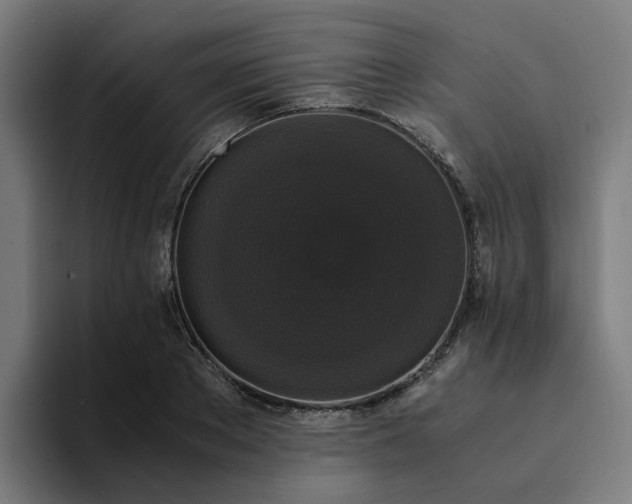 X0000094360889200711162048