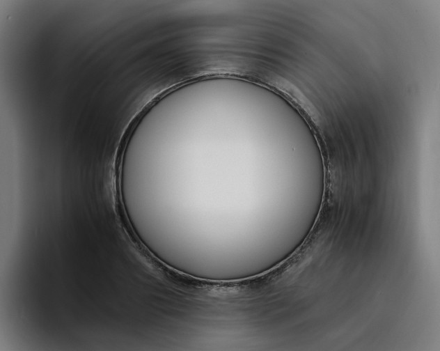 X0000094360890200711162048