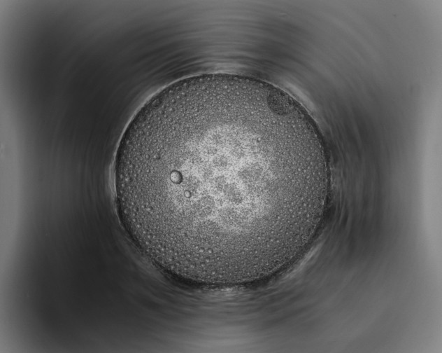 X0000094360891200711162048